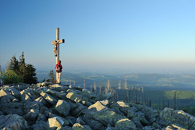 Der Lusen im Bayerischen Wald